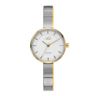 ���� �� ����� �� ���� Adi ��� 143160482